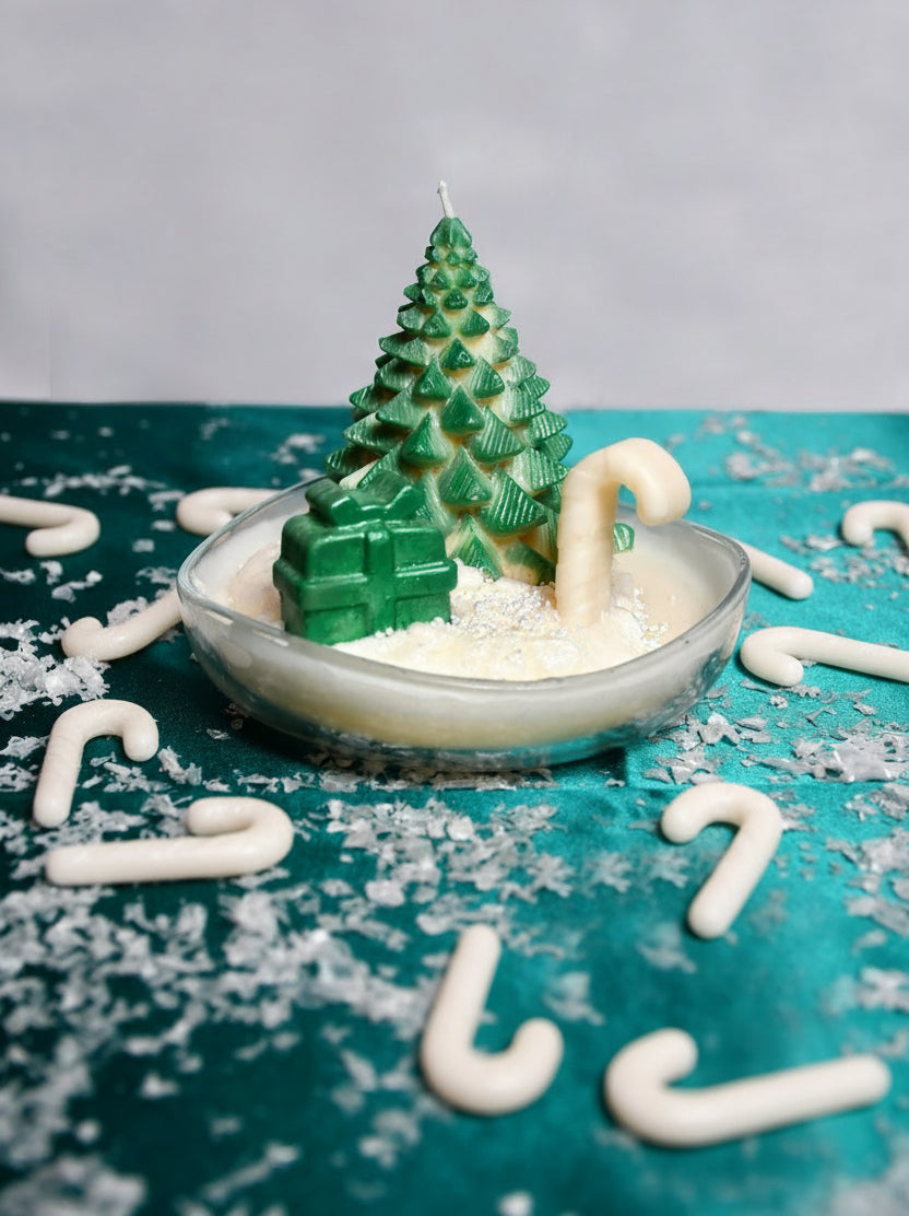 Winter Grove Delight ❄️🌲